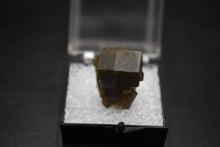 Load image into Gallery viewer, Andradite Garnet
